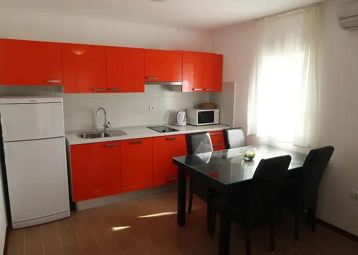 Sunshine * טרוגיר