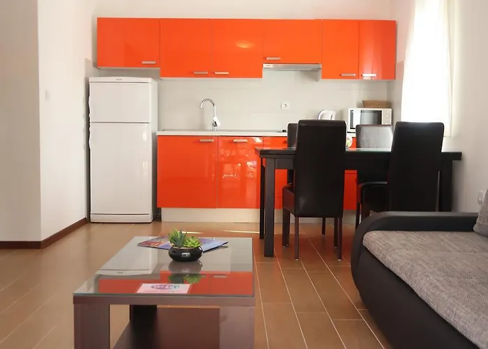 Sunshine טרוגיר