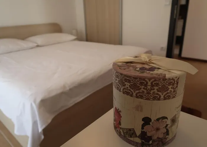 Sunshine טרוגיר