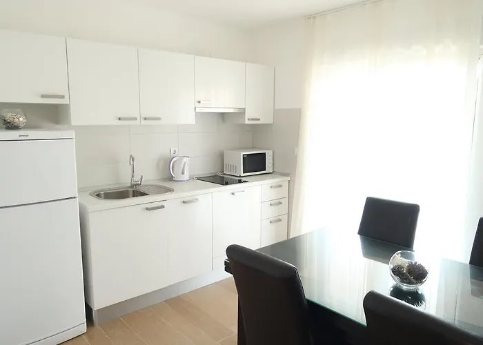 Sunshine טרוגיר