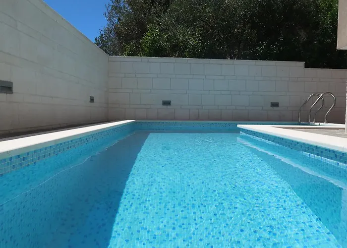 Sunshine * טרוגיר